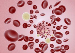 A graphic image of blood cells affected by untreated sleep apnea in Fort Collins.